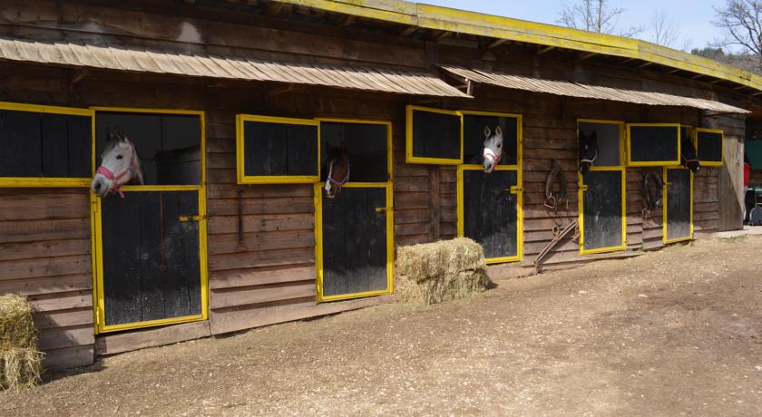 online rezervacije Apartments Agrotourism Equestrian