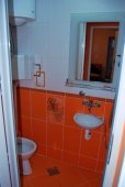Apartman Trsa