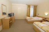 Hotel DRINA