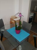 Apartman Jelena