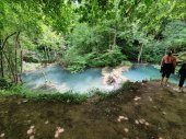 Zeleni svet 2