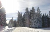 Apartmani GOLIJSKI DAR