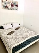 Apartman Tesla