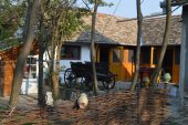 Ana Guesthouse