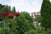 Apartmani Mero