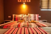 Hotel DONNA