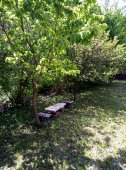 Apartman Miljković