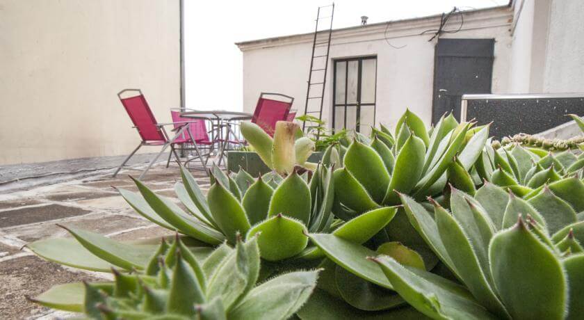 online rezervacije Sunny Apartment