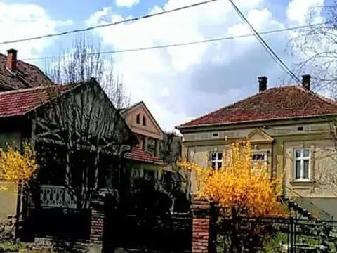 Kuća Petrovića Aleksandrovac