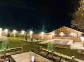 Zeleni svet